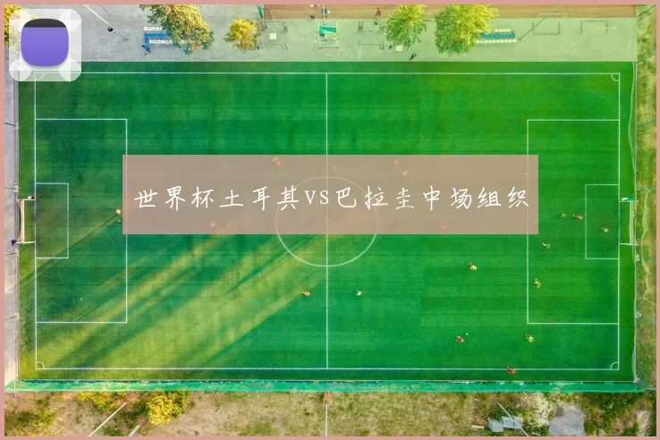 世界杯土耳其vs巴拉圭中场组织