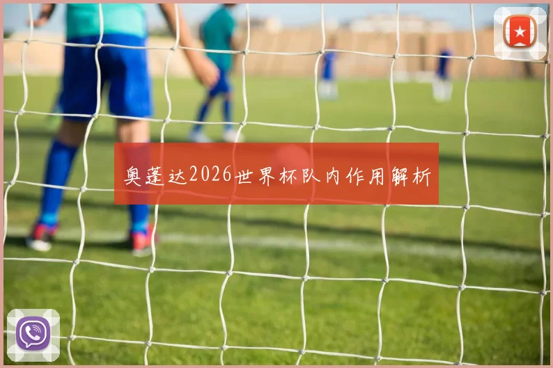 奥蓬达2026世界杯队内作用解析