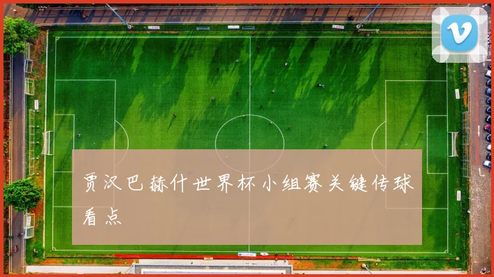 贾汉巴赫什世界杯小组赛关键传球看点
