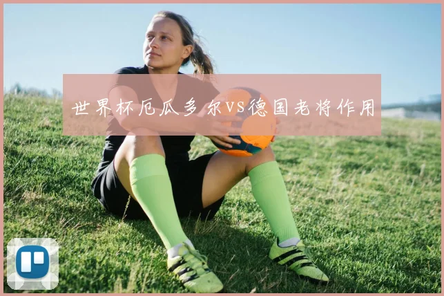世界杯厄瓜多尔vs德国老将作用