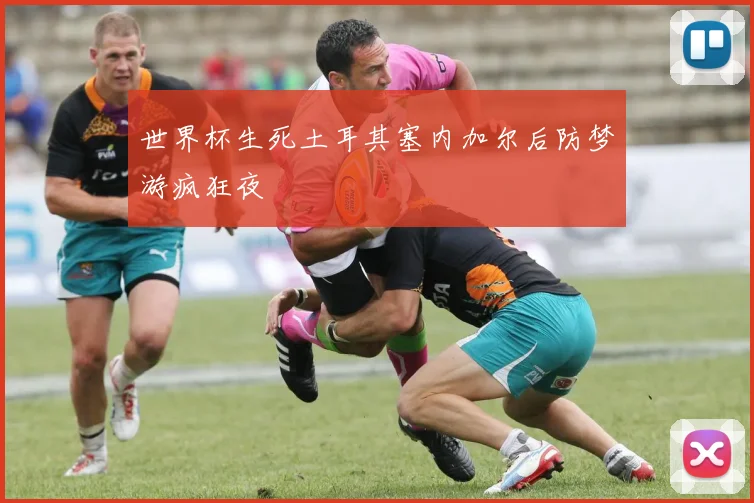 世界杯生死土耳其塞内加尔后防梦游疯狂夜