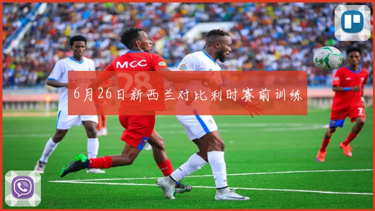 6月26日新西兰对比利时赛前训练