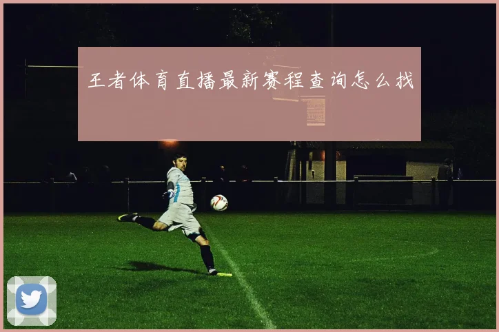 王者体育直播最新赛程查询怎么找
