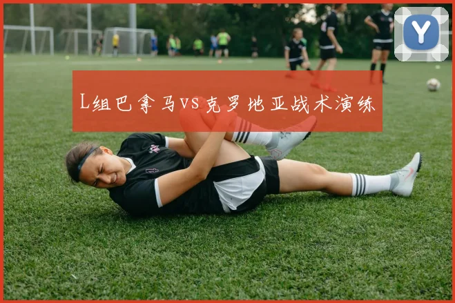 L组巴拿马vs克罗地亚战术演练