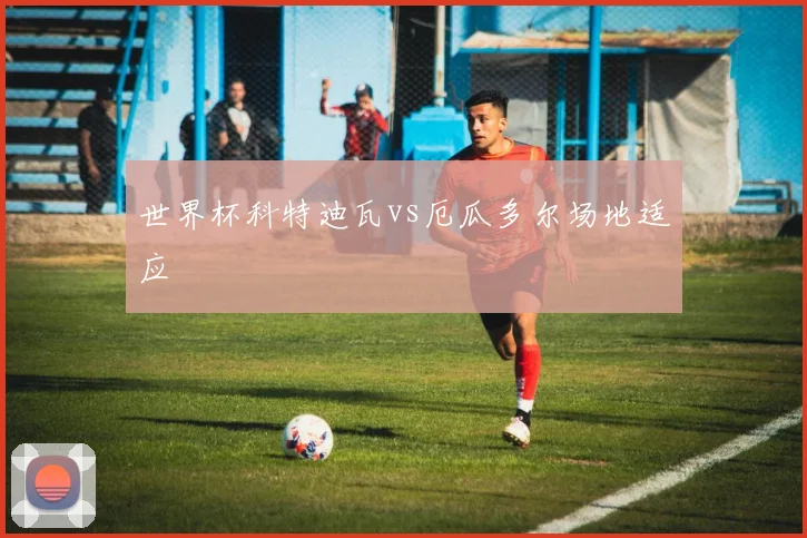 世界杯科特迪瓦vs厄瓜多尔场地适应
