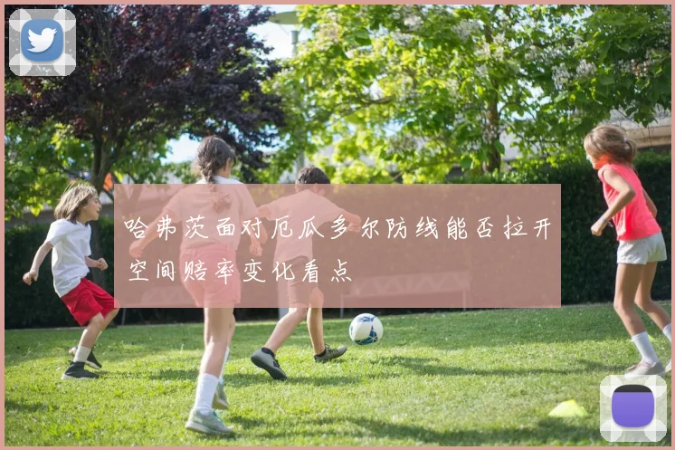 哈弗茨面对厄瓜多尔防线能否拉开空间赔率变化看点