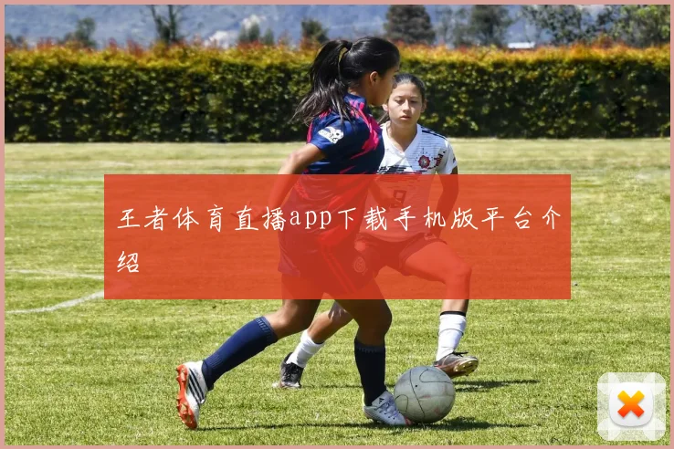 王者体育直播app下载手机版平台介绍