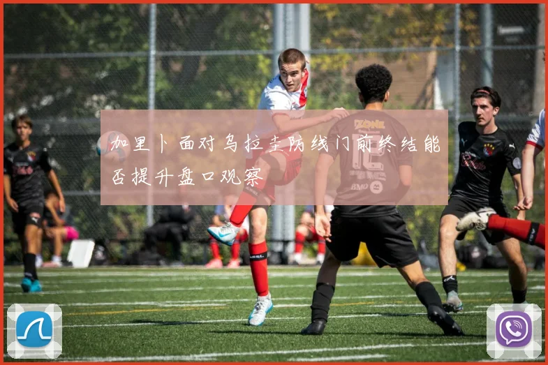 加里卜面对乌拉圭防线门前终结能否提升盘口观察